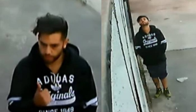 felipe rojas robo de cámara de seguridad