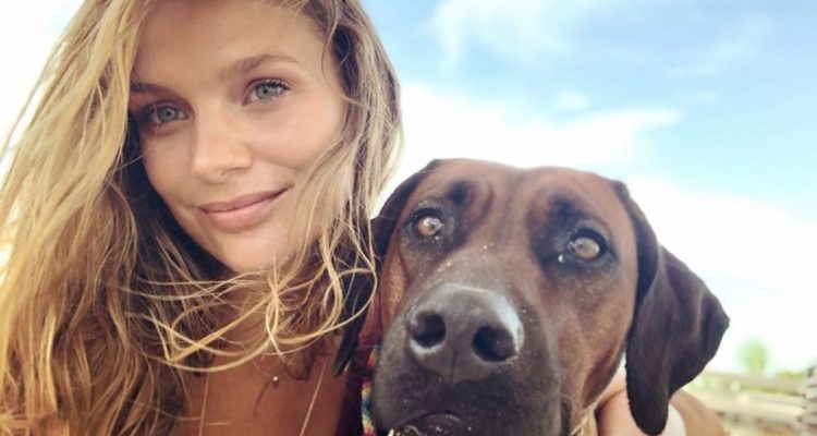 Denuncian a Mayte Rodríguez por viajar con su perrita en cabina de avión: actriz respondió