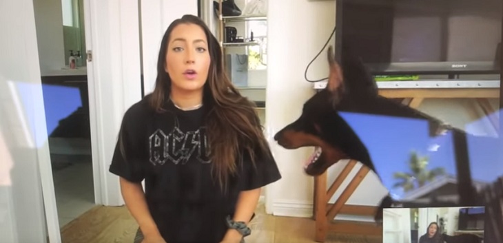 youtuber publico video por error maltratando a su perro