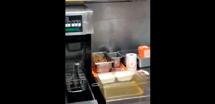 El escalofriante video que muestra a ratón escapando en local de comida rápida: se lanzó a la freidora
