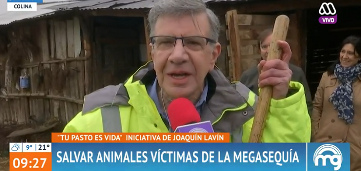 'Tu pasto es vida': Lavín presentó campaña para ayudar a animales afectados por sequía en Colina
