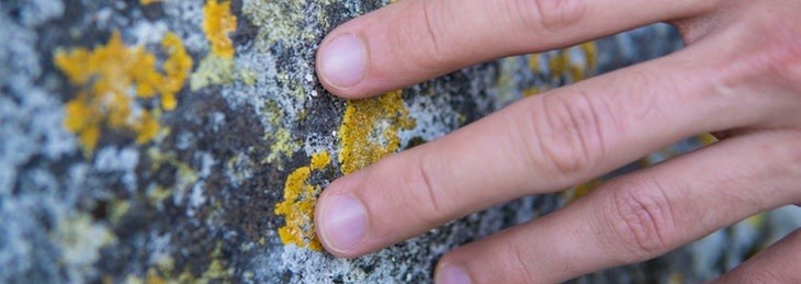 Quitar hongos de la pared