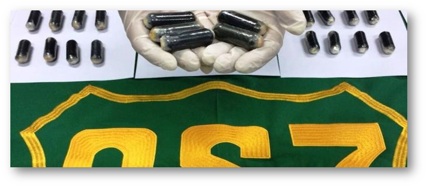 Can detectora de droga intercepta a pasajeros de bus con más de 25 mil dosis de cocaína en Iquique