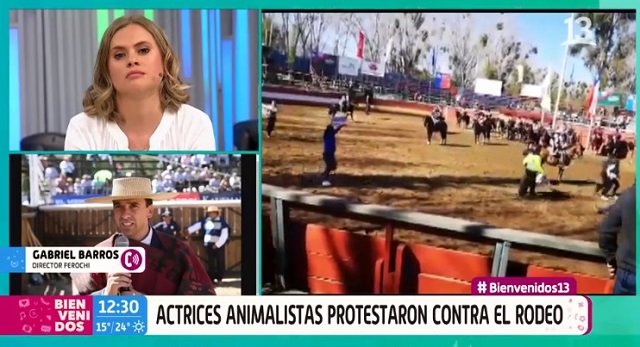 polo ramírez y palo a matías vega