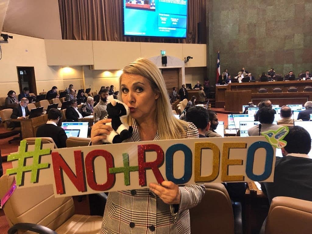 En horario prime: Pamela Jiles regresa a la televisión junto a 2 diputadas en programa de TV+