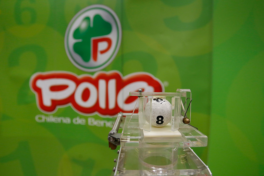 Debido a la contingencia: Polla anuncia que 