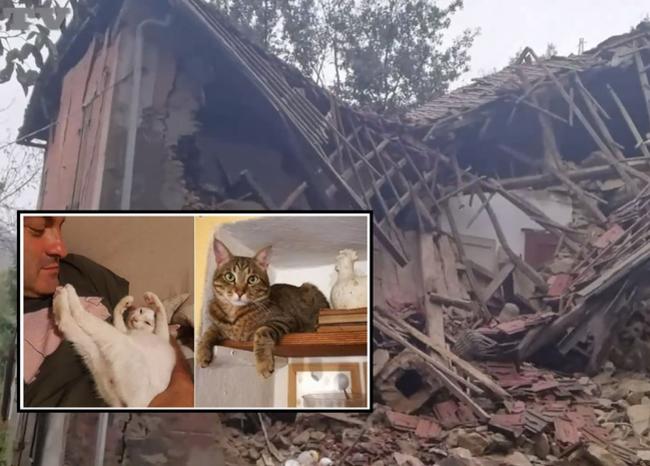 gatos salvaron a sus dueños de morir
