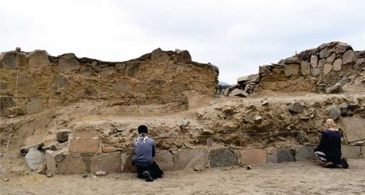Hallan sepultado en Perú restos de perro de hace más de mil años: 