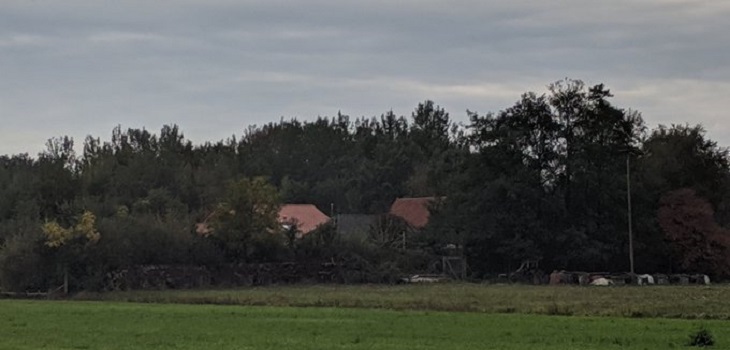 Padre que mantuvo encerrada a su familia por 9 años no actuó solo: investigan secta apocalíptica