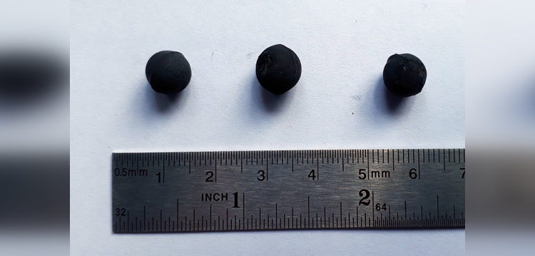 Estudio de la U. Austral de Chile ratifica presencia de plomo en perdigones usados por Carabineros