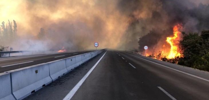 Alerta Roja Para Valparaíso Por Incendio Forestal En Ruta 68