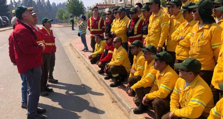 Incendios forestales en Valparaíso: Ministro Walker confirma que van 2.500 hectáreas afectadas