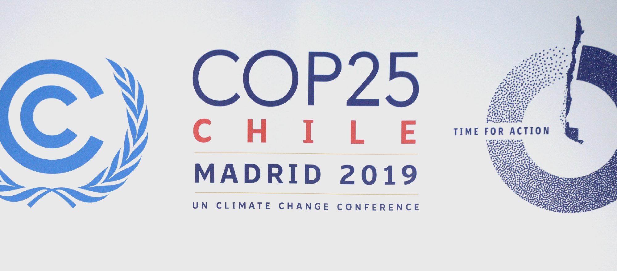 "Es decepcionante": borrador de Chile en la COP25 causa indignación en ONGs medioambientales