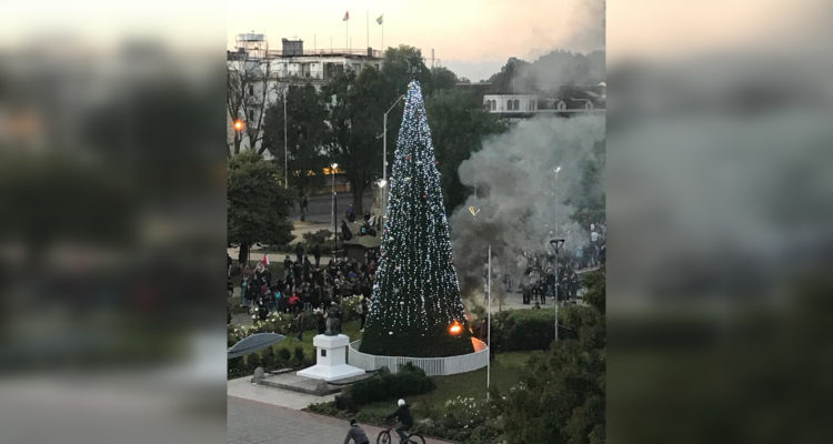 A días de la festividad: destruyen e incendian árbol de Navidad instalado en la plaza de Osorno