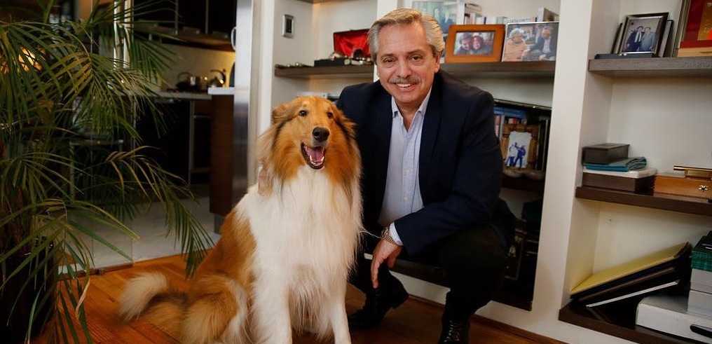 Dylan, el perro del nuevo presidente de Argentina que es furor en Instagram