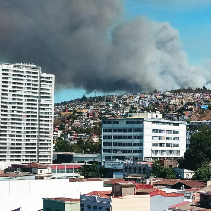 Incendio forestal se registra en sector Rocuant de Valparaíso