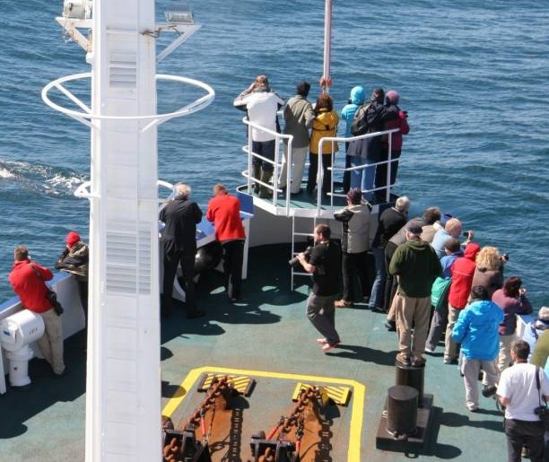 Crucero holandés lleno de turistas se sumó a búsqueda de avión FACH