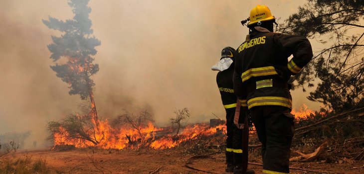 Onemi declara Alerta Amarilla por incendios forestales en La Araucanía