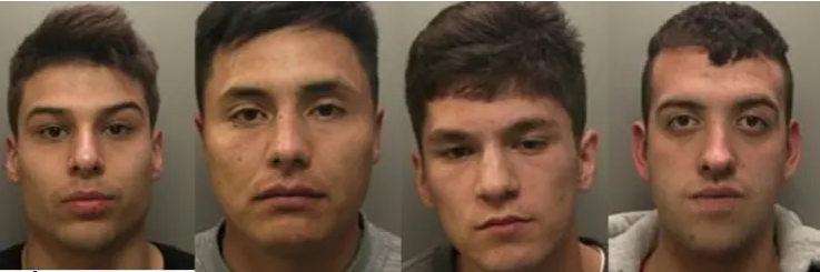 Chilenos detenidos por robo en casa de chef