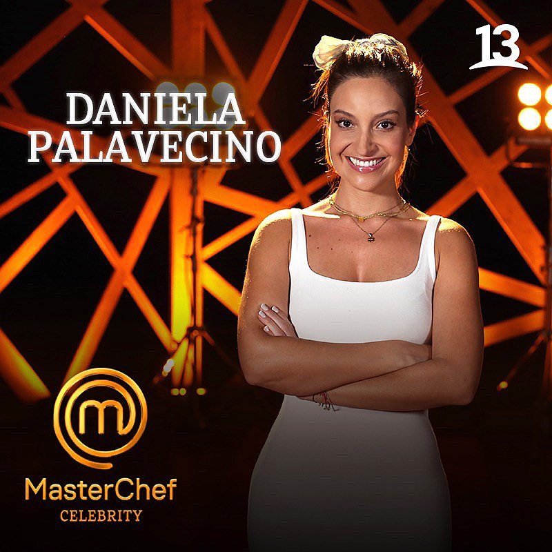 dani palavecino y criticas