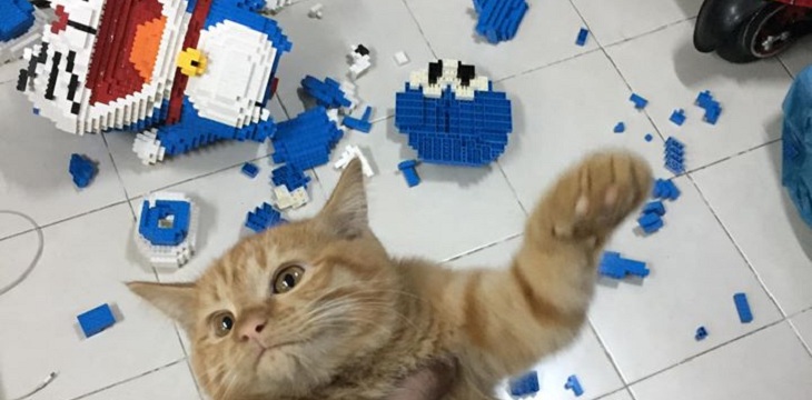 gato destruye figura lego