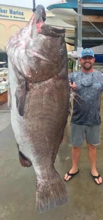Pez gigante de casi 160 Kg capturado en Florida impacta al mundo