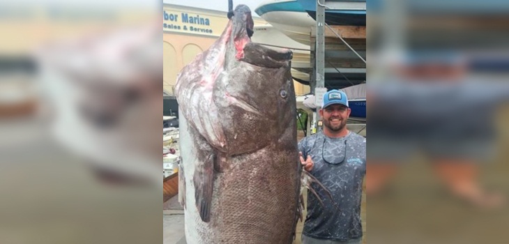 Pez gigante de casi 160 Kg capturado en Florida impacta al mundo