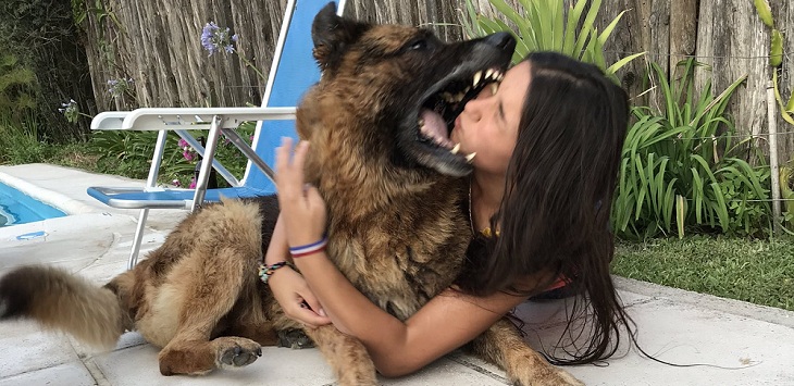 Joven argentina sufrió brutal mordida de su perro en sesión de fotos: quedó con suturas en el rostro