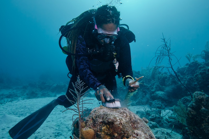 sabático en las bahamas
