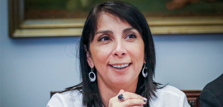 Karla Rubilar subió video a Tik Tok para fomentar participación en el plebiscito: recibió críticas