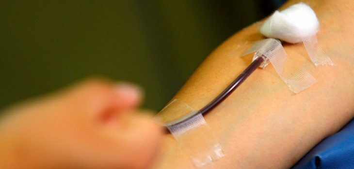 Corte de Apelaciones ordena realizar transfusión de sangre a Testigo de Jehová en riesgo vital