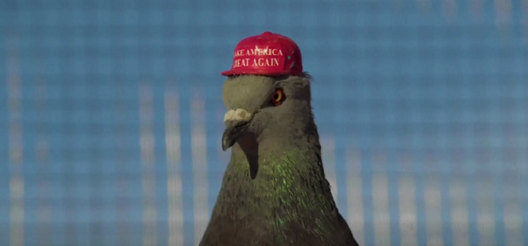 Captura | Video P.U.T.I.N