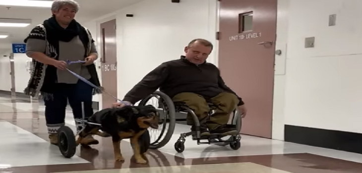 Hombre con discapacidad adopta a perrito que sufre su misma condición