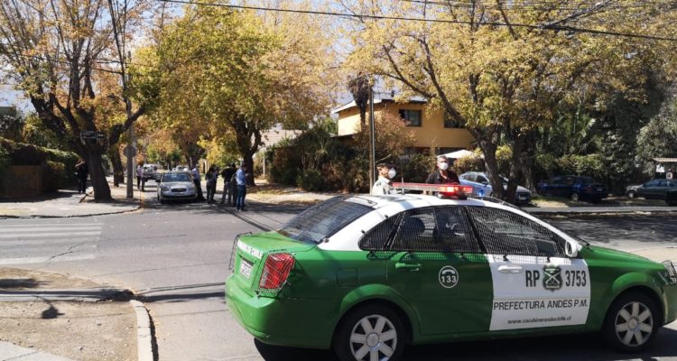 Reportan nuevo avistamiento de un puma en la comuna de La Reina: SAG fue alertado