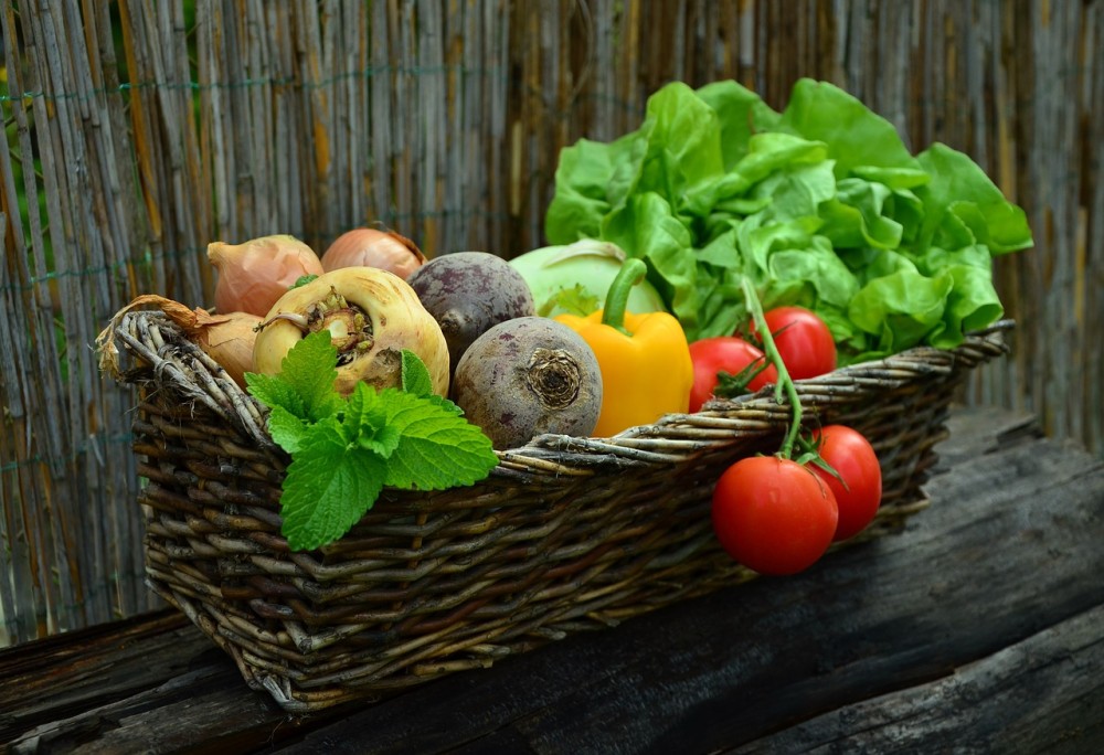 Alimentos, comida, verduras y frutas