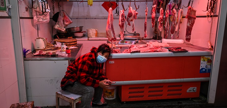 China prohíbe el consumo de animales silvestres