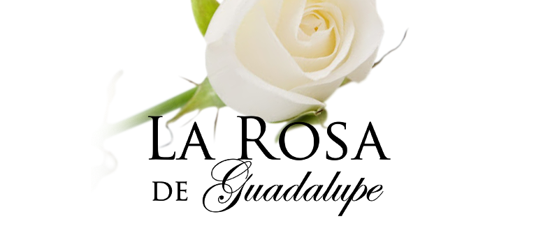 La Rosa de Guadalupe cambia de horario