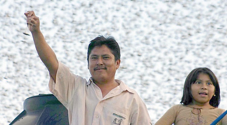 Imágenes de película: India vive la peor invasión de langostas de las últimas tres décadas