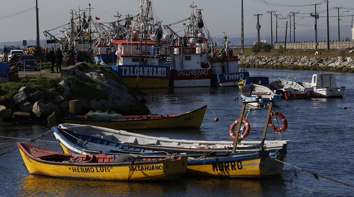 Sernapesca habilita sitio para postular a aporte solidario de capacitación: estos son los requisitos