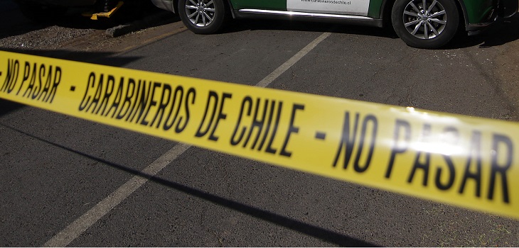 Cráneos, huesos y libros 