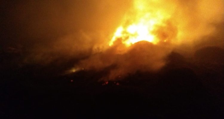 Avión con personal de salud se estrella cerca de ciudad argentina: reportan dos sobrevivientes