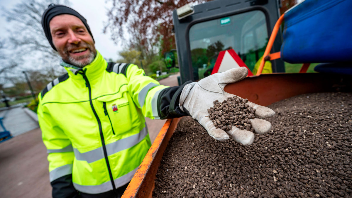 Drástica medida de ciudad sueca para alejar a turistas durante festividad: esparció excremento