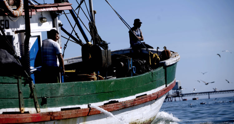 Dirigente de pesca artesanal se querelló contra colega por amenazas de 