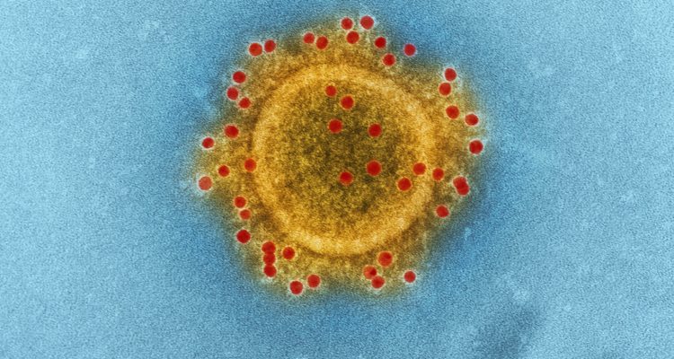 Científicos crean plataforma para rastrear mutaciones del coronavirus Covid-19 en Chile