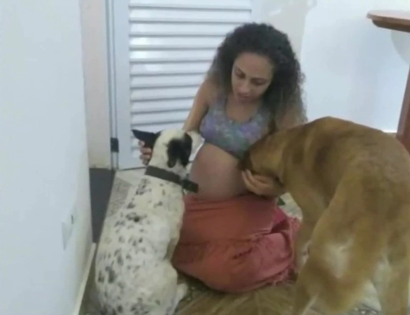 Perro atacó y mató a gemelas en brasil