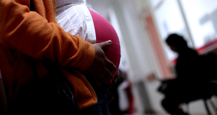 Senado aprobó por amplia mayoría proyecto que posibilita el teletrabajo a embarazadas
