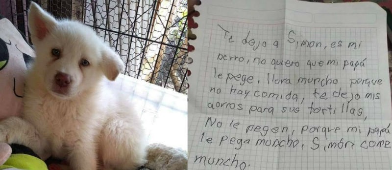 La triste historia de niño que dejó a su perro en un refugio: le manda cartas para que no lo olvide