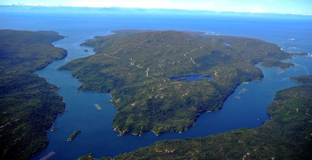 Isla San Pedro: el destino paradisíaco del sur de Chile que es cuna del zorro de Darwin y se vende