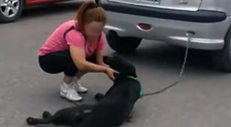 Mujer amarró a su perro al auto y lo arrastró 7 cuadras: imágenes causaron indignación en Argentina