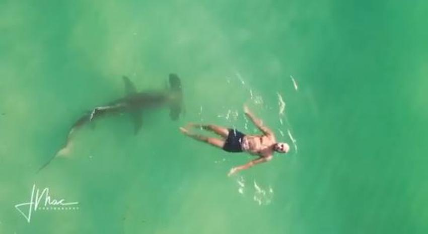 Captan a hombre nadando sin notar que un tiburón martillo estaba justo a su lado